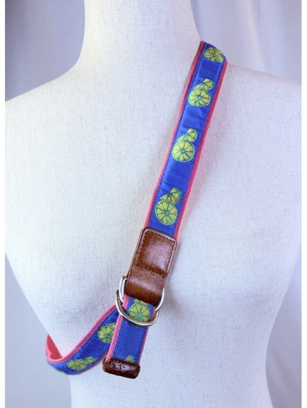Talbots D Ring Belt Fruit Lemon Lime Ribbon Leather Trim Pink USA L 36-38